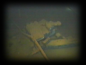 020 Lumber
